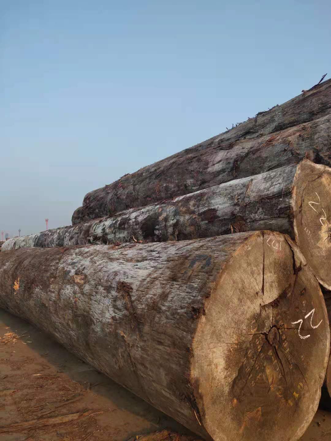 工厂供应奥坎原木 进口木材 方料批发及加工服务2