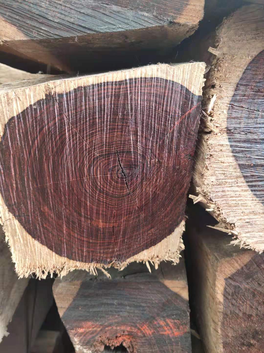 厂家供应墨西哥微凹黄檀原木及方料批发和加工服务 进口木材6