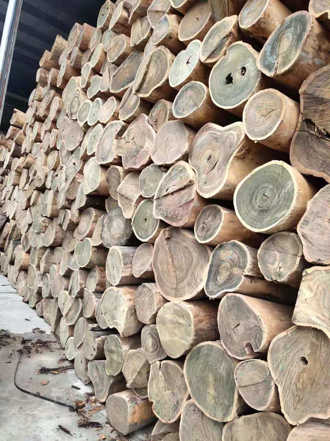 巴拉圭绿檀批发及加工服务 进口木材 厂家供应正宗阿根廷绿檀6