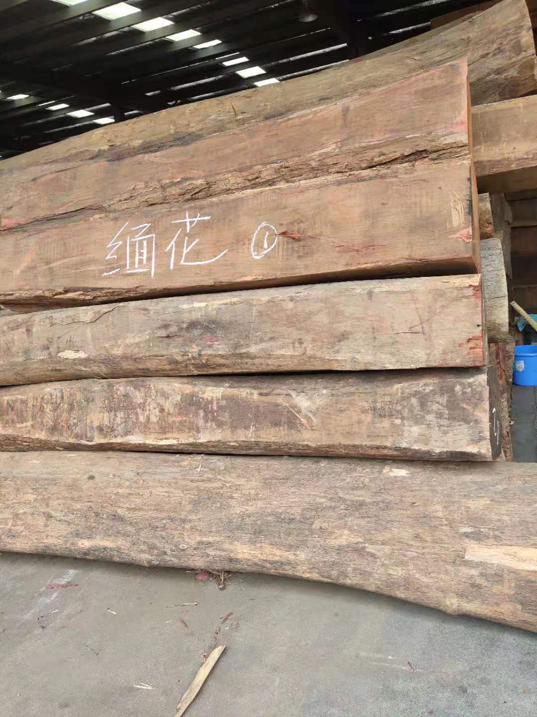 进口木材 大果紫檀原木批发及加工服务 工厂直供缅花3