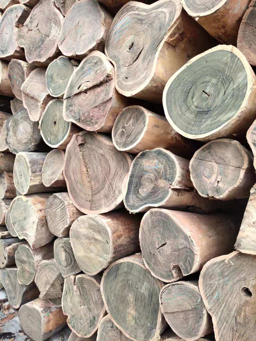 巴拉圭绿檀批发及加工服务 进口木材 厂家供应正宗阿根廷绿檀1