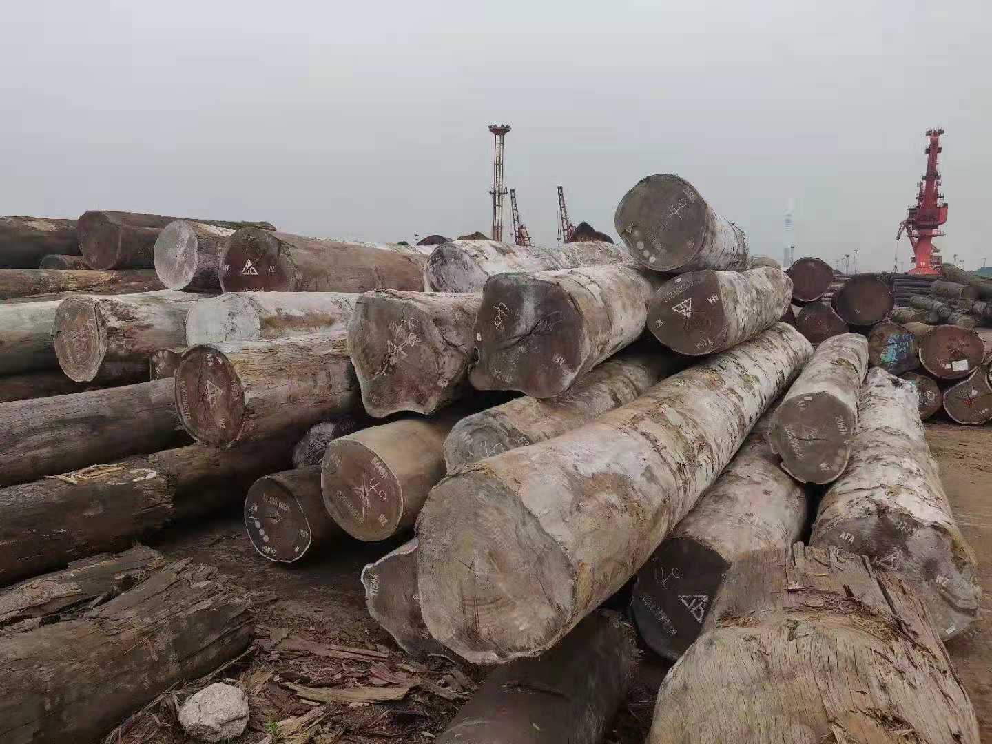 板材及加工服务 进口木材 柚木王原木 厂家批发供应非洲1