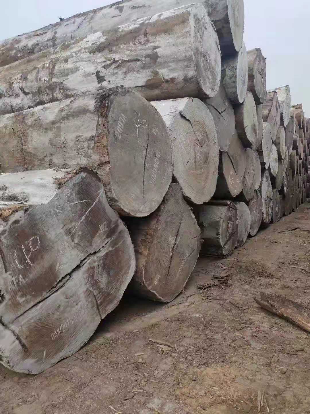 板材及加工服务 进口木材 柚木王原木 厂家批发供应非洲3