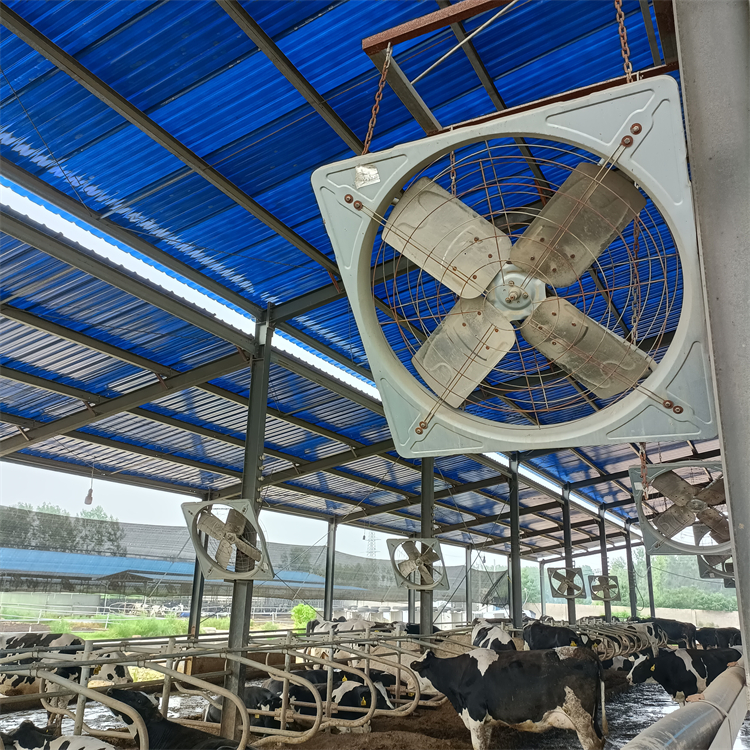 现代化养殖设备 牛舍悬挂式风机养殖用1100型牛场风扇不锈钢材质2
