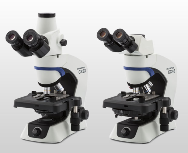 CX43 奥林巴斯生物显微镜CX331