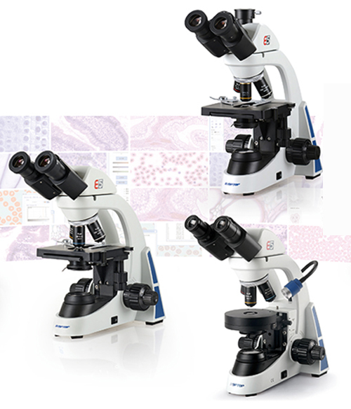 重庆舜宇显微镜 SOPTOP舜宇光学 生物显微镜E52