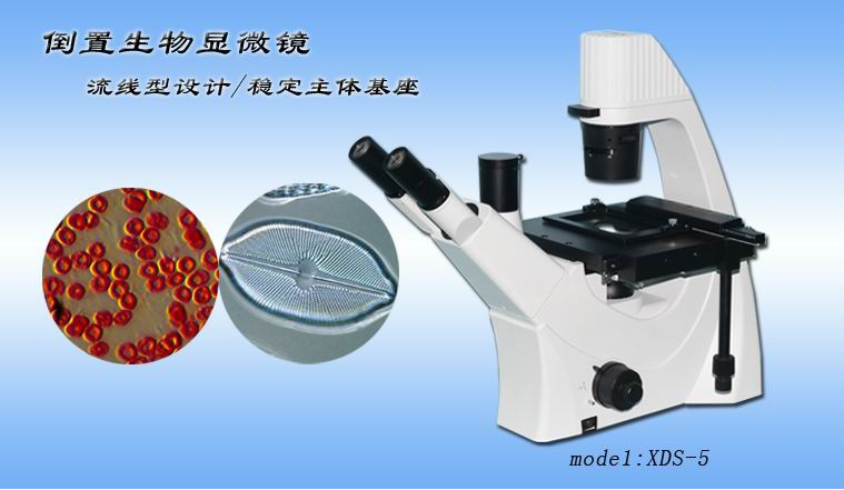 留辉科技 XDS－5 重庆显微镜专卖 倒置生物显微镜3