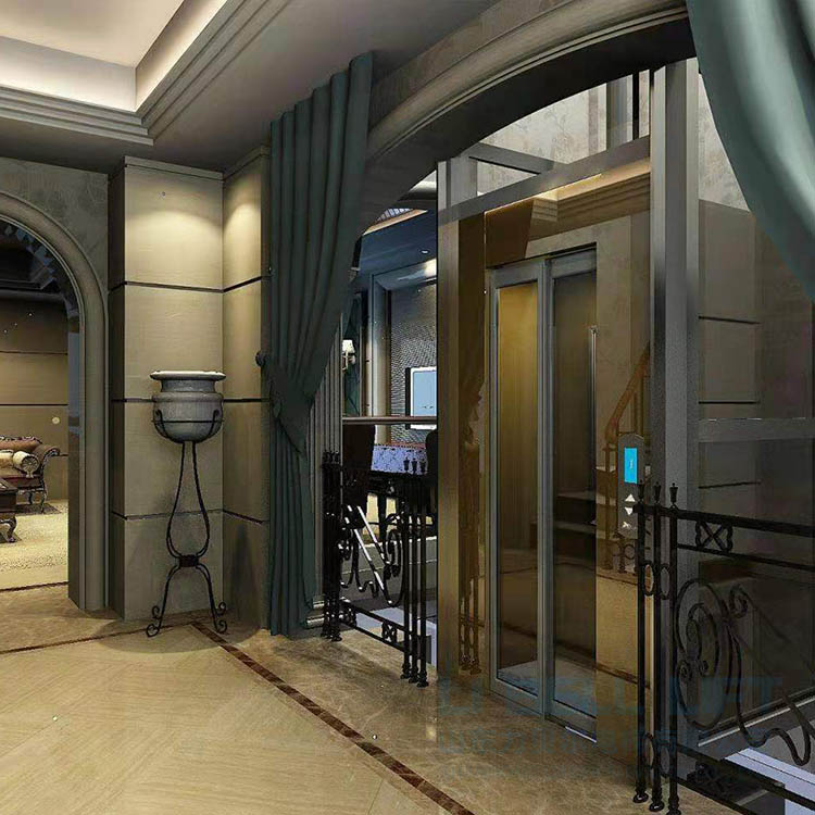 小型室内电梯 定制家用电梯 力贝尔三层别墅电梯 简易楼道阁楼观光电梯1