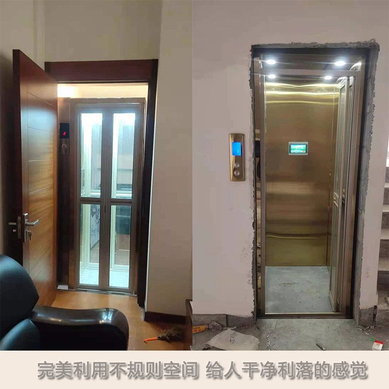 厂家直销 复式二层电梯 曳引式家用小型电梯 力贝尔室内外曳引电梯 别墅观光电梯1