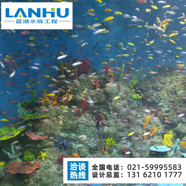 有机玻璃鱼缸定制 鱼缸造景 lanhu大型海水鱼缸工程承接亚克力鱼缸工程4