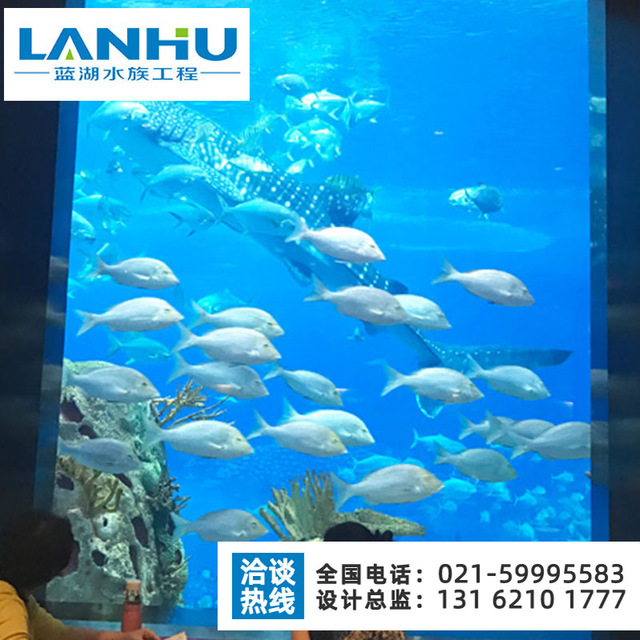 海洋馆施工水族工程 海洋馆运营规划 lanhu海洋馆设计水族馆设计4