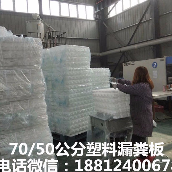 猪羊鸡鸭等家禽用塑料漏粪板厂家批发 河南郑州辉煌养殖设备厂6