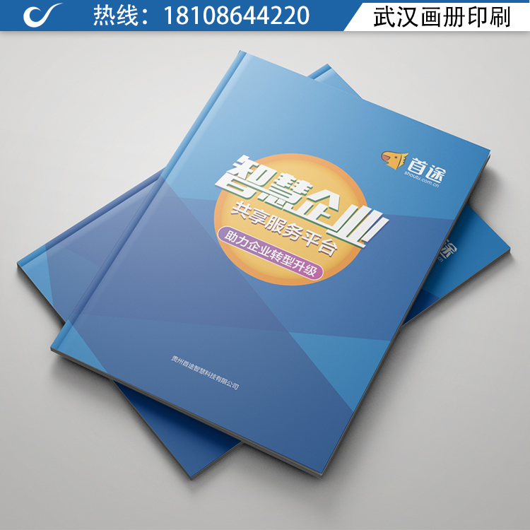设计产品手册 设计印刷武汉厂家直发 宣传册A4画册 产品宣传画册定制 新坐标包装2