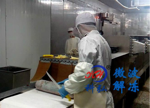 科弘微波解冻设备KH-100GMTN厂家直销 冷冻食品加工设备5