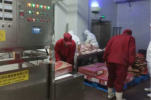 科弘微波解冻设备KH-100GMTN厂家直销 冷冻食品加工设备7