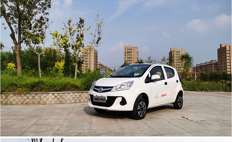 新能源汽车 电动小汽车 北京 其他电动车 电动汽车排行榜前十名4