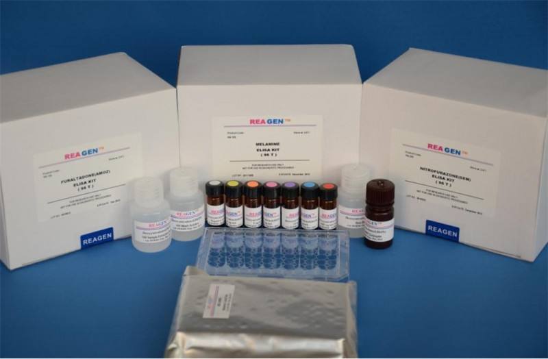 人心肌肌钙蛋白Ⅰ(cTn-Ⅰ)ELISA试剂盒 分析试剂1