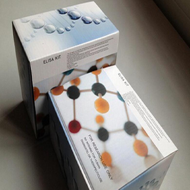 分析试剂 人阿立新A(OrexinA)ELISA试剂盒1