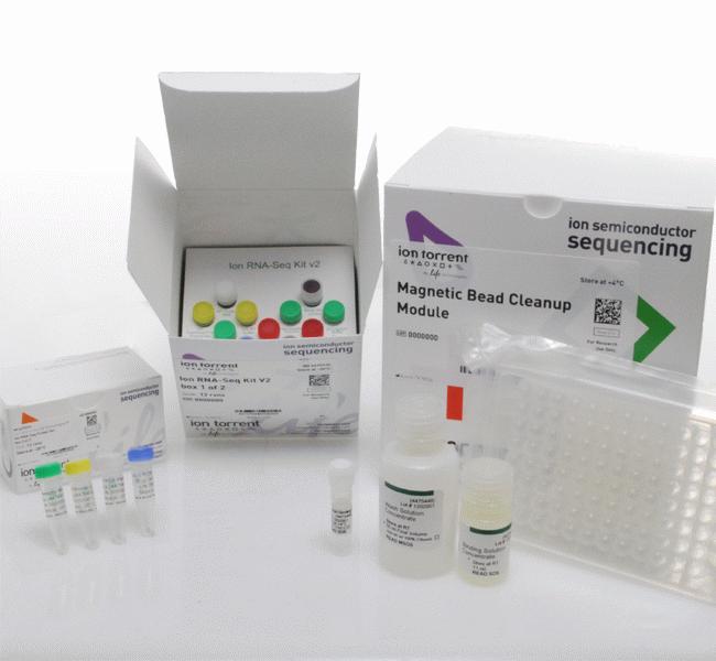 人血吸虫(schistosoma)ELISA试剂盒 分析试剂5