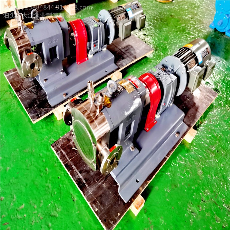 芝麻酱输送泵 大江泵业现货 灌装机械转子泵 不锈钢转子泵