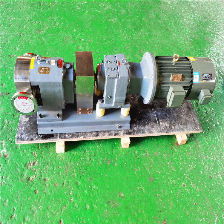 芝麻酱输送泵 大江泵业现货 灌装机械转子泵 不锈钢转子泵3