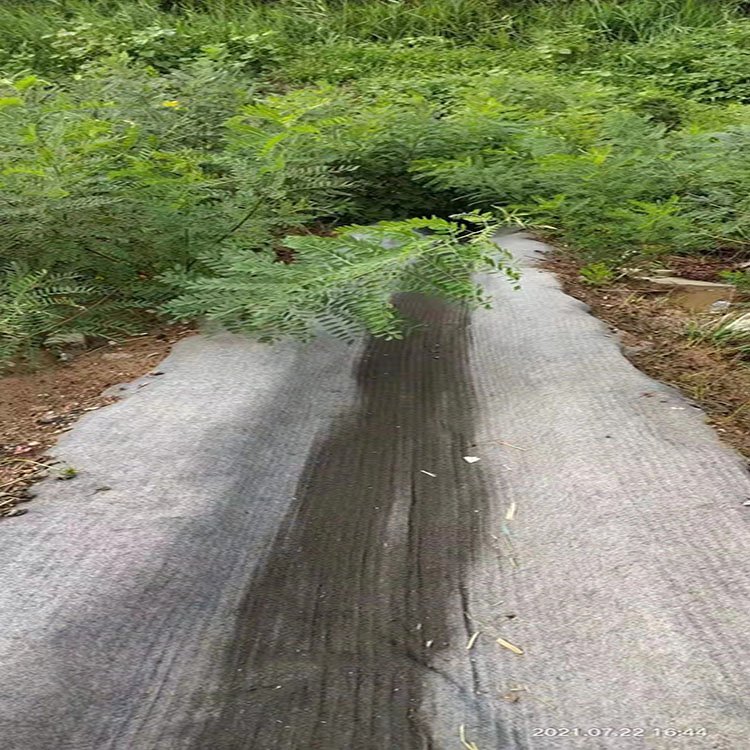 新型护坡护渠水泥毯 人工湖防水铺设用混凝土水泥毯 浇水固化4