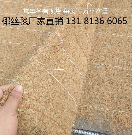 生态植被毯 环保草毯 其他工地施工材料 植物纤维毯 植物纤维毯5