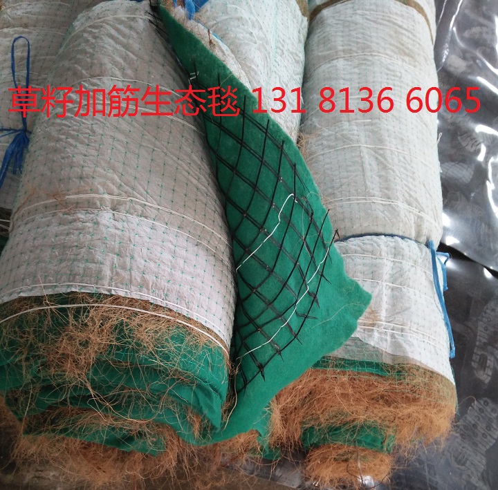 排水网及三维网 广东河道绿化植物纤维毯-环保草毯-广东椰丝毯1