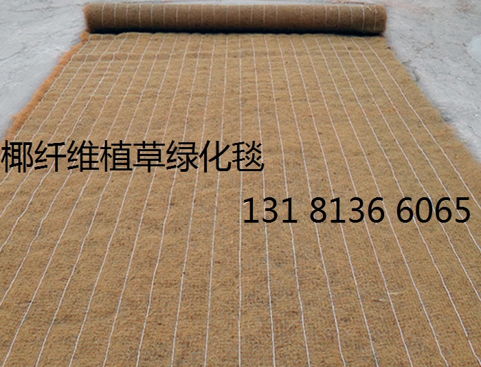 植草毯 其他工地施工材料 植生毯 环保草毯 植物纤维毯厂家1