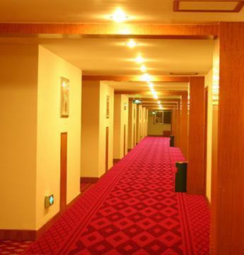 楼梯提花地毯 过道 酒店宾馆办公走廊地毯地垫 加厚走廊地毯2