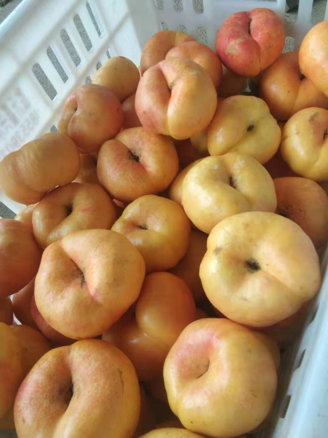 新鲜 基地供应 水蜜桃 苹果 无公害3