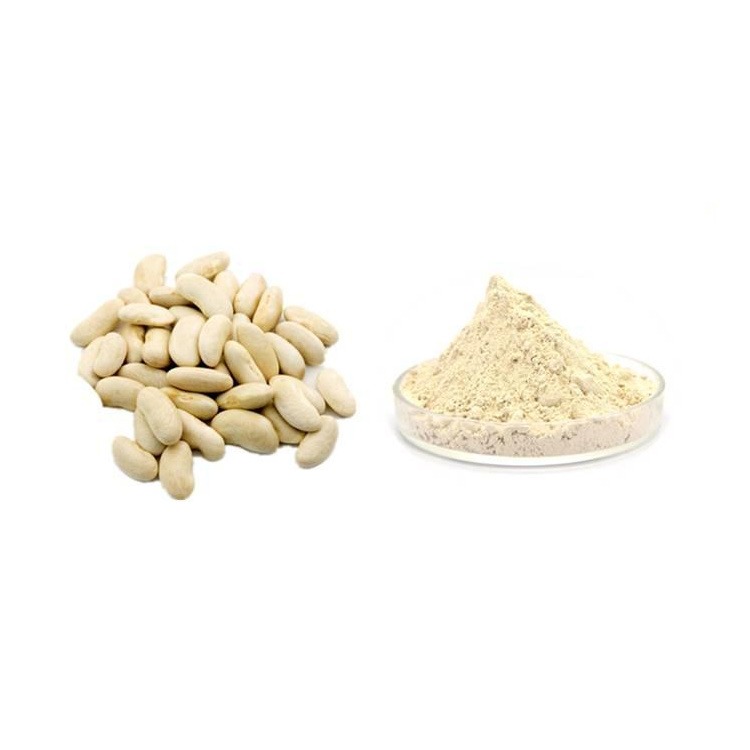 浓缩萃取速溶粉 白扁豆粉 自有厂可以提取 植物提取物