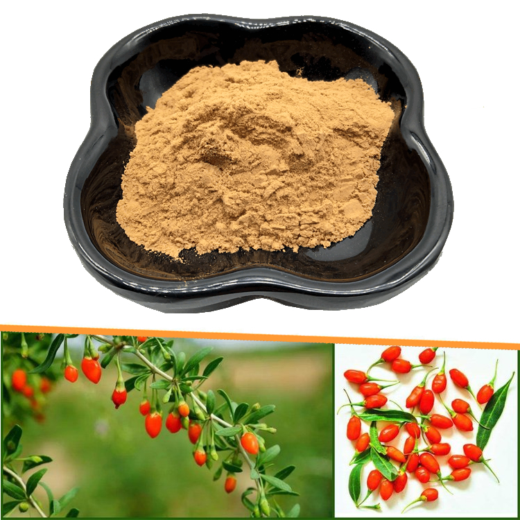 颜色鲜亮 玫瑰茄速溶粉 植物提取物 新资源食品多酚含量高2