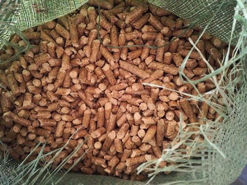 樟木头生物质颗粒价格 生物能源 广东有品质的生物质颗粒服务商1