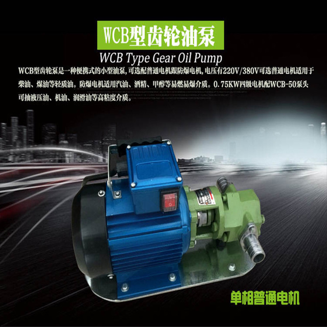 WCB50小型手提式齿轮油泵轻型便携式油泵输送机油柴油泵现货批发2