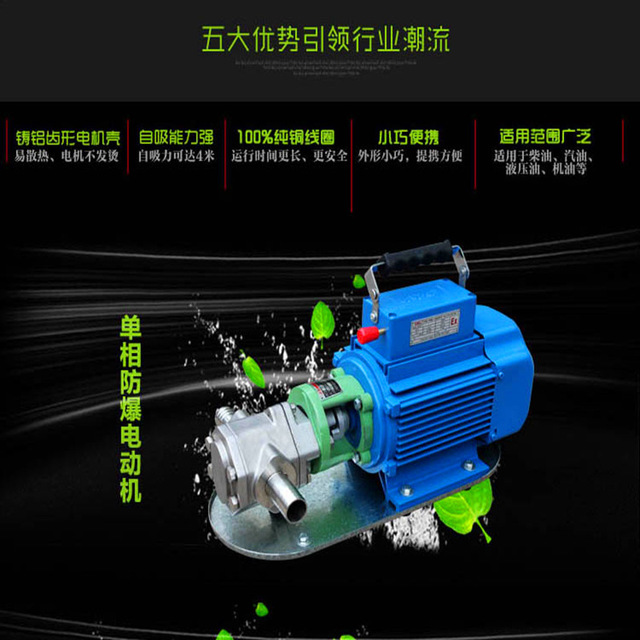 WCB50小型手提式齿轮油泵轻型便携式油泵输送机油柴油泵现货批发4
