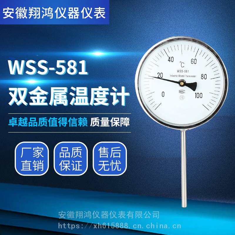 WSS-581不锈钢304环保型双金属温度计万向型指针式双金属温度计防腐双金属温度计厂家销售2