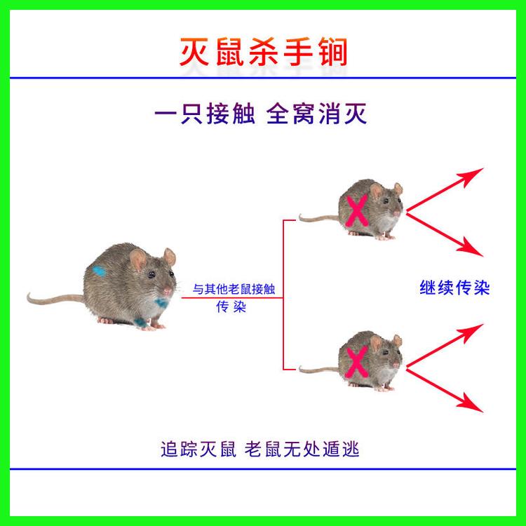 新型灭老鼠药 超市的老鼠很难灭 爱威老鼠追踪膏 鼠药厂家4