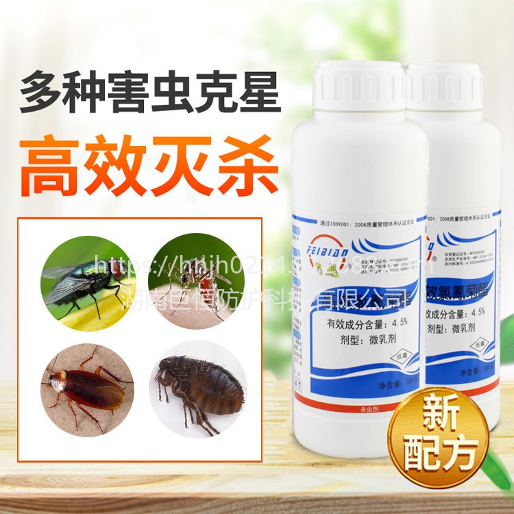 多功能杀虫剂可有效杀蚊子苍蝇跳蚤蟑 下水道灭蚊虫专用 飞彪杀蚊子苍蝇药水5