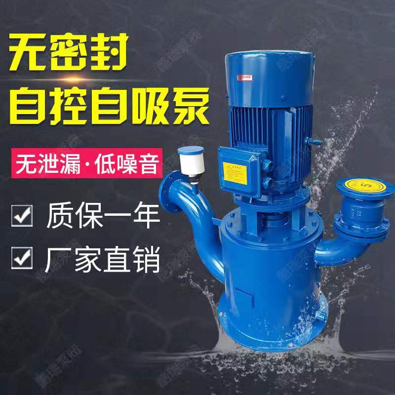 ZX自吸泵 双润泵业生产 自吸泵厂家 100ZX100-20系列6