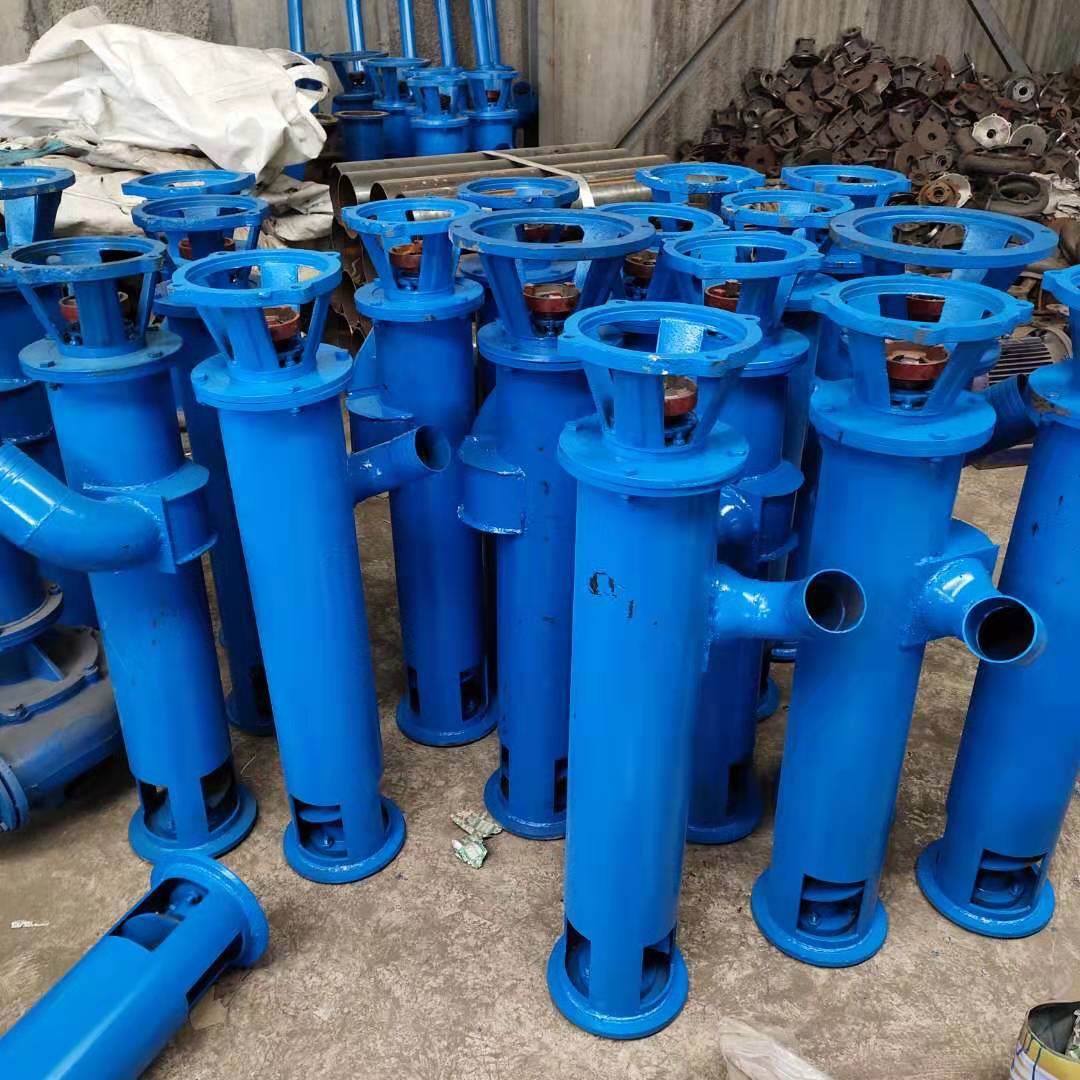 双润泵业生产立式 养殖场化粪池螺旋泵抽粪泵 蛟龙式抽粪泵4