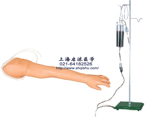 HS39 多功能静脉注射手臂模具 静脉输液手臂模型 QS2