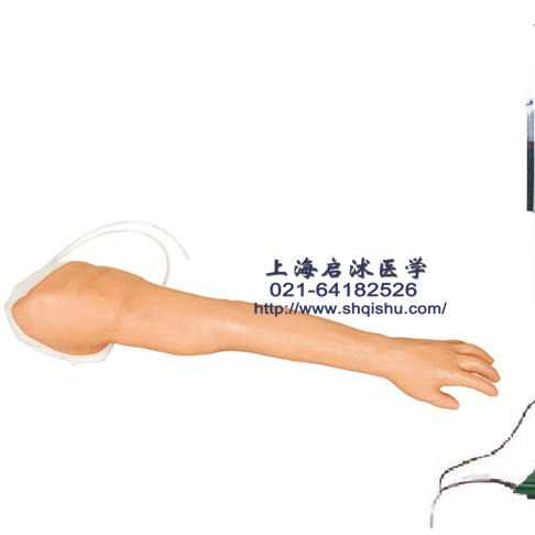HS39 多功能静脉注射手臂模具 静脉输液手臂模型 QS