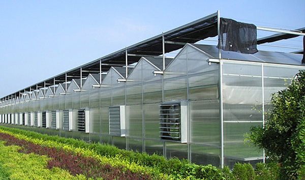 屋顶采光瓦片 型号齐全 上海直销 阳光板 雨棚阳光房板材1