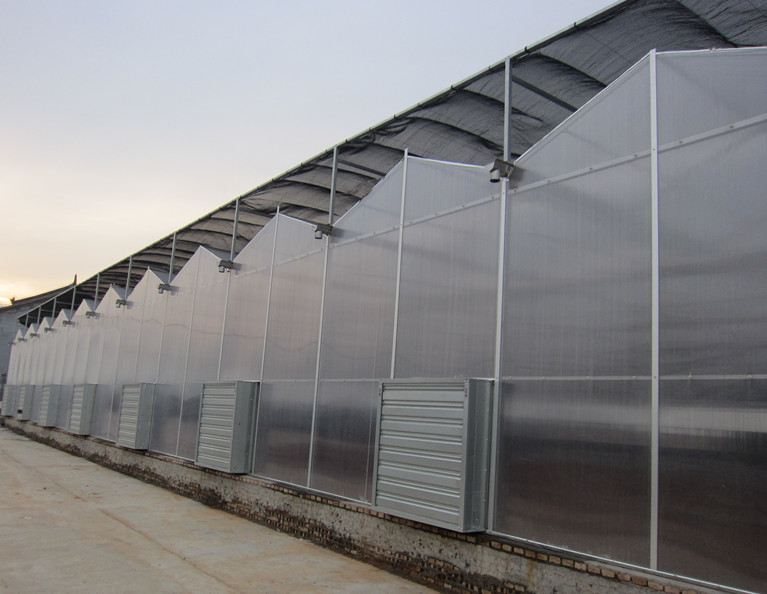 雨棚阳光房板材厂家价格 阳光板 厂家定做 屋顶采光瓦片4