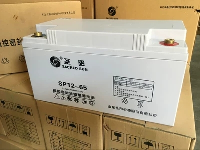 圣阳蓄电池 圣阳蓄电池12V245AH 圣阳蓄电池SP12-245 UPS专用蓄电池1