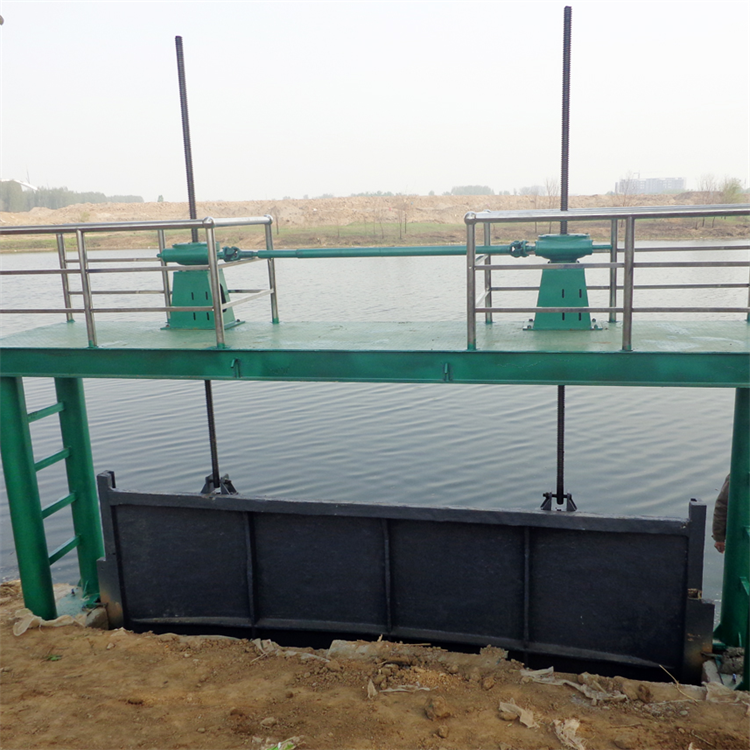 海之鹰 螺杆式启闭机 露天安装 全封闭型 农田灌溉工程 适用于防洪排涝 QLZ电动直联启闭机5