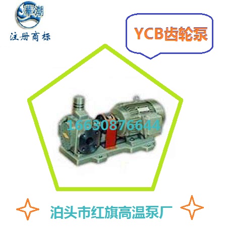 华潮YCB4-0.6齿轮油泵基础油输送泵 厂价供应 转子泵3