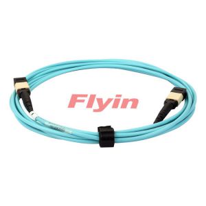 其他传输、交换设备 深圳飞宇Flyin MPO光纤连接器光纤跳线2