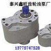 HY01型齿轮油泵 不锈钢泵 液压泵1
